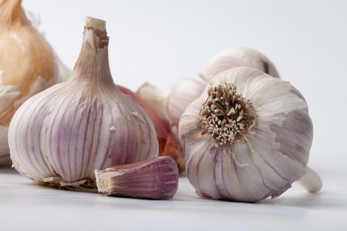 Turkish Garlic $12 a lb.